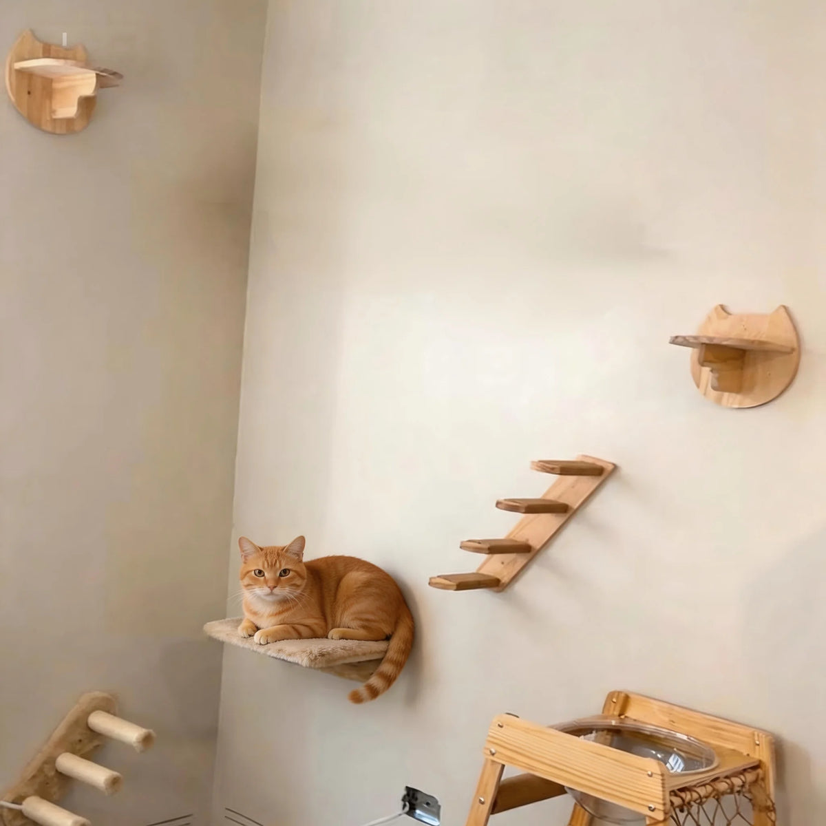 Wall-Mounted Cat Shelves, Steps & Lounging Options