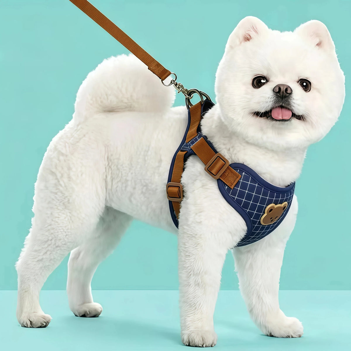 Bear-Detail Pet Harness & Leash Set with Mesh Lining