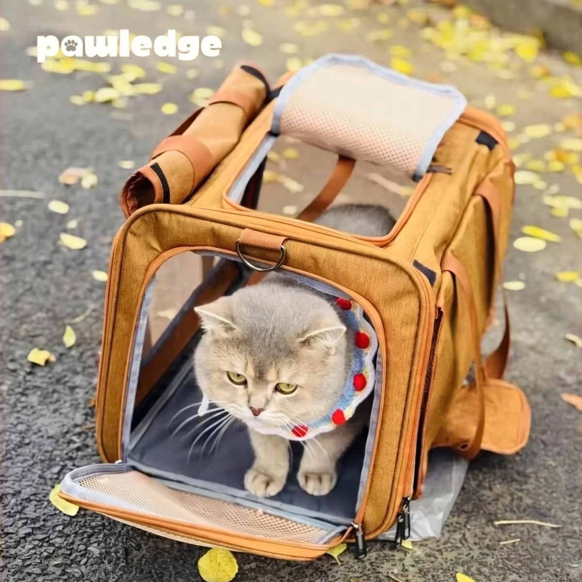 Foldable Mesh Pet Carrier with Front & Top Access