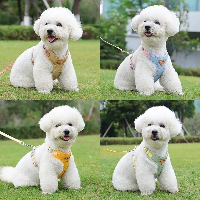 Colorblock Pet Harness & Coordinating Leash Set