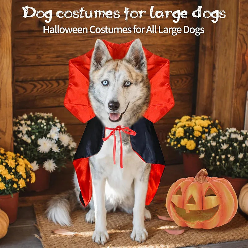 Vampire Cape Costume for Cats & Dogs