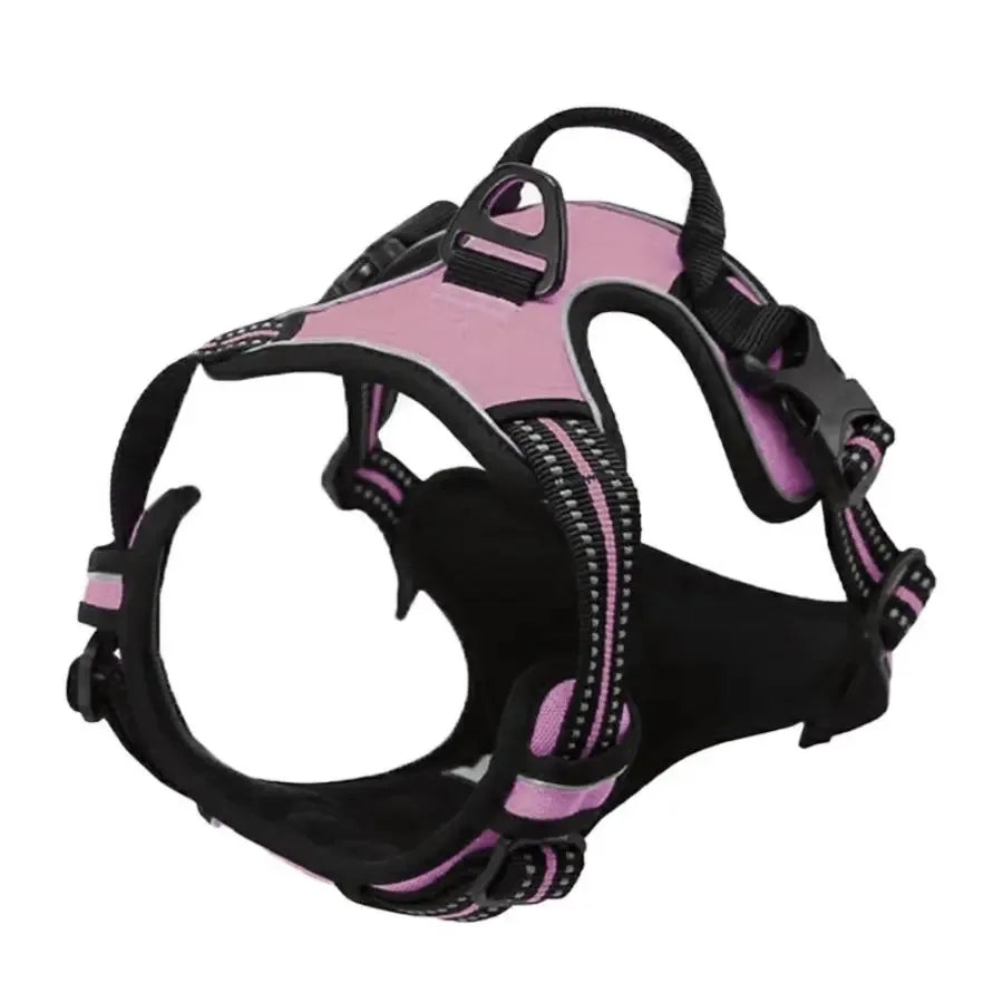 Adjustable Dog Vest Harness with Contrast Trim
