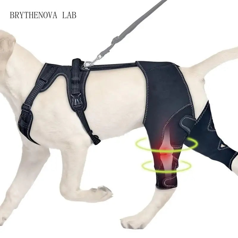 Dog Rear-Leg Wrap with Detachable Chest Harness