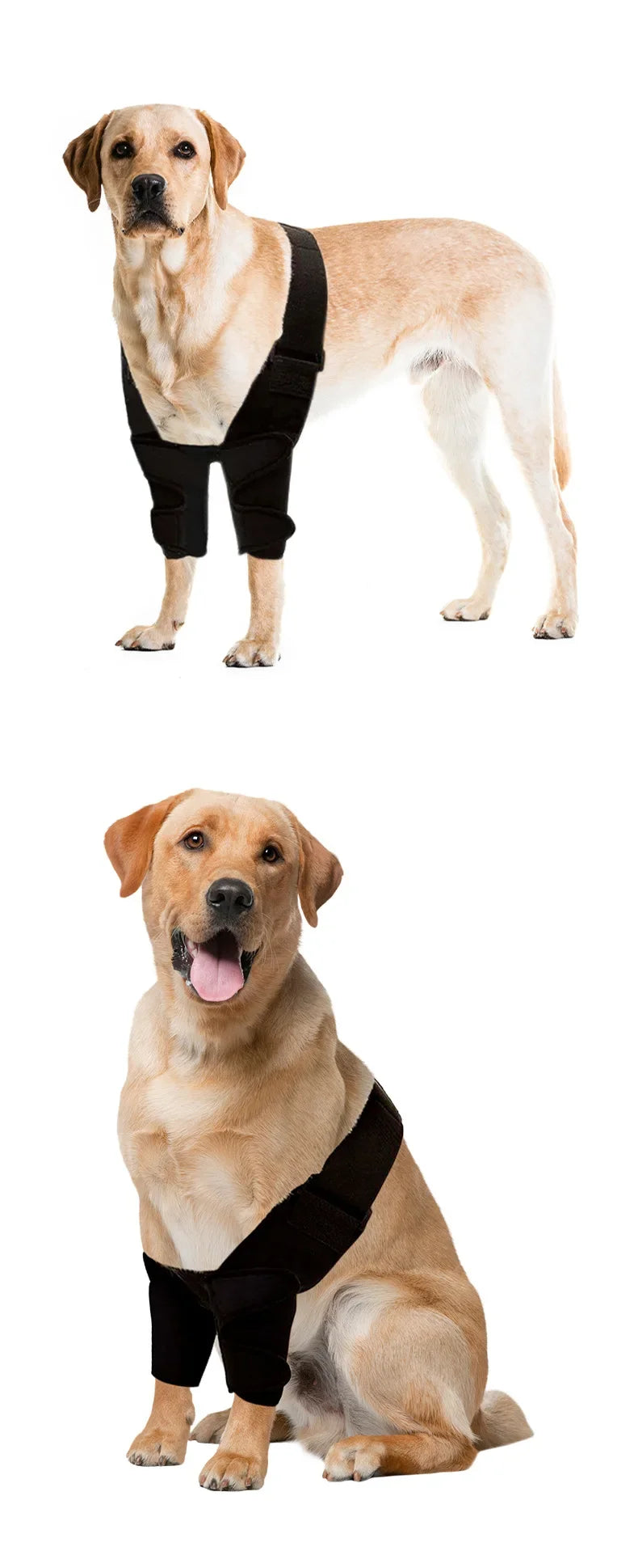 Dog Leg Wraps and Connected Paw Covers, Six Styles