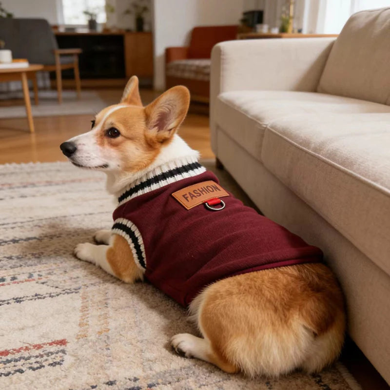 Striped-Trim Pet Sweater Vest with Back Patch