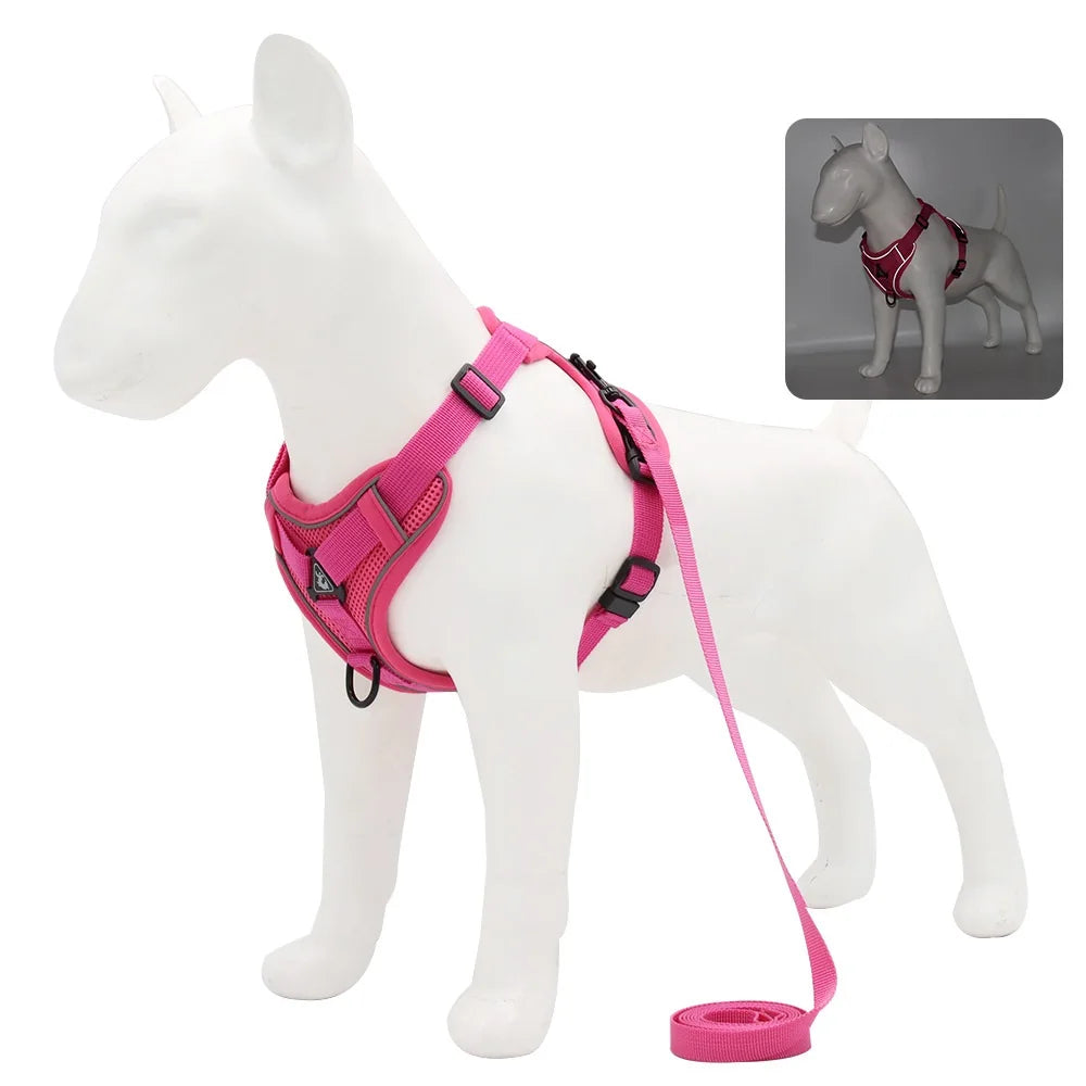 Solid-Color Mesh Pet Harness & 150 cm Leash Set