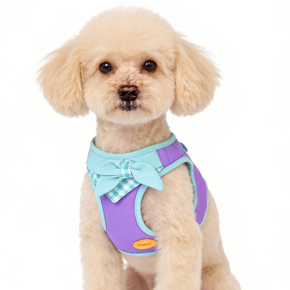 Bow-Detail Pet Vest Harness with Gingham Accent