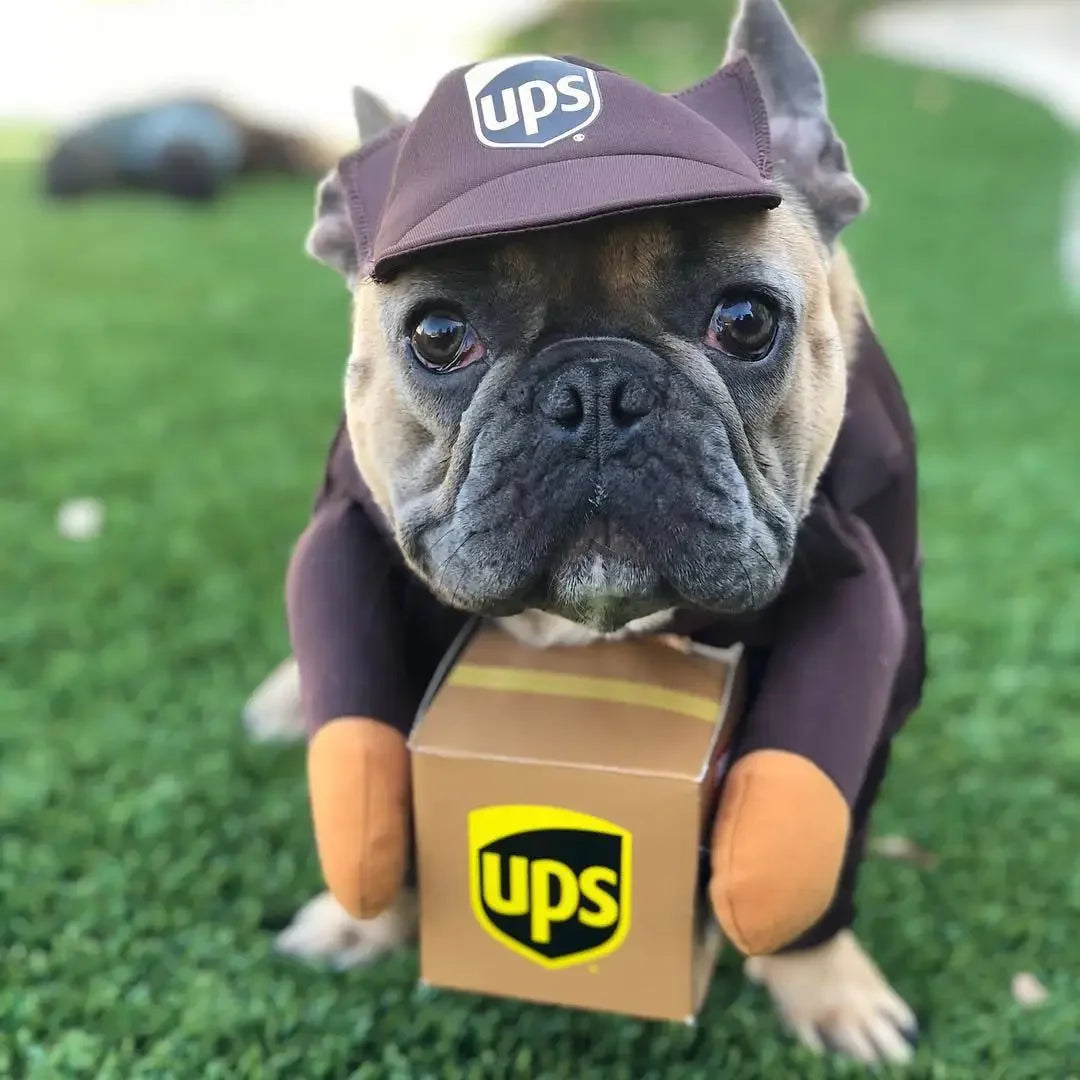 Courier Dress-Up Costume for Dogs & Cats