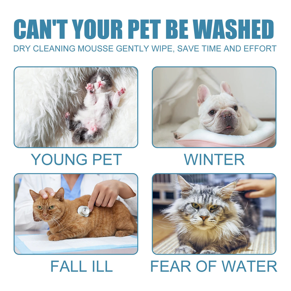 YEGBONG Pet Dry Cleaning Mousse, 60 ml, 1–4 Pack