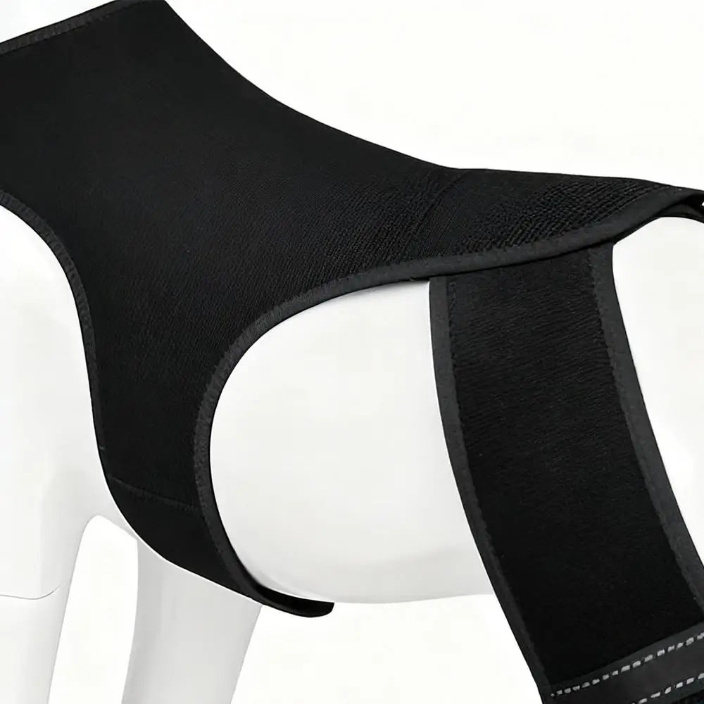 Adjustable Dog Rear-Leg Brace with Wraparound Harness