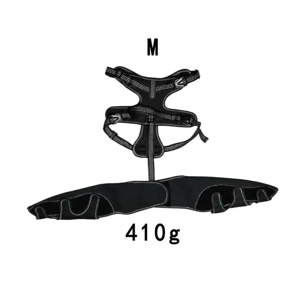 Dog Rear-Leg Wrap with Detachable Chest Harness