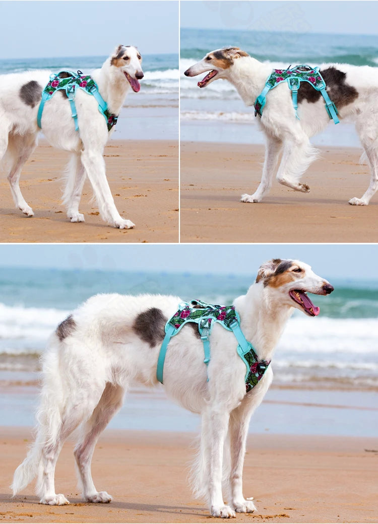 Adjustable Padded Nylon Dog Harness with Reflective Details