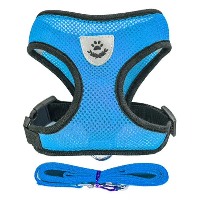 Adjustable Mesh Pet Harness & 120 cm Leash Set