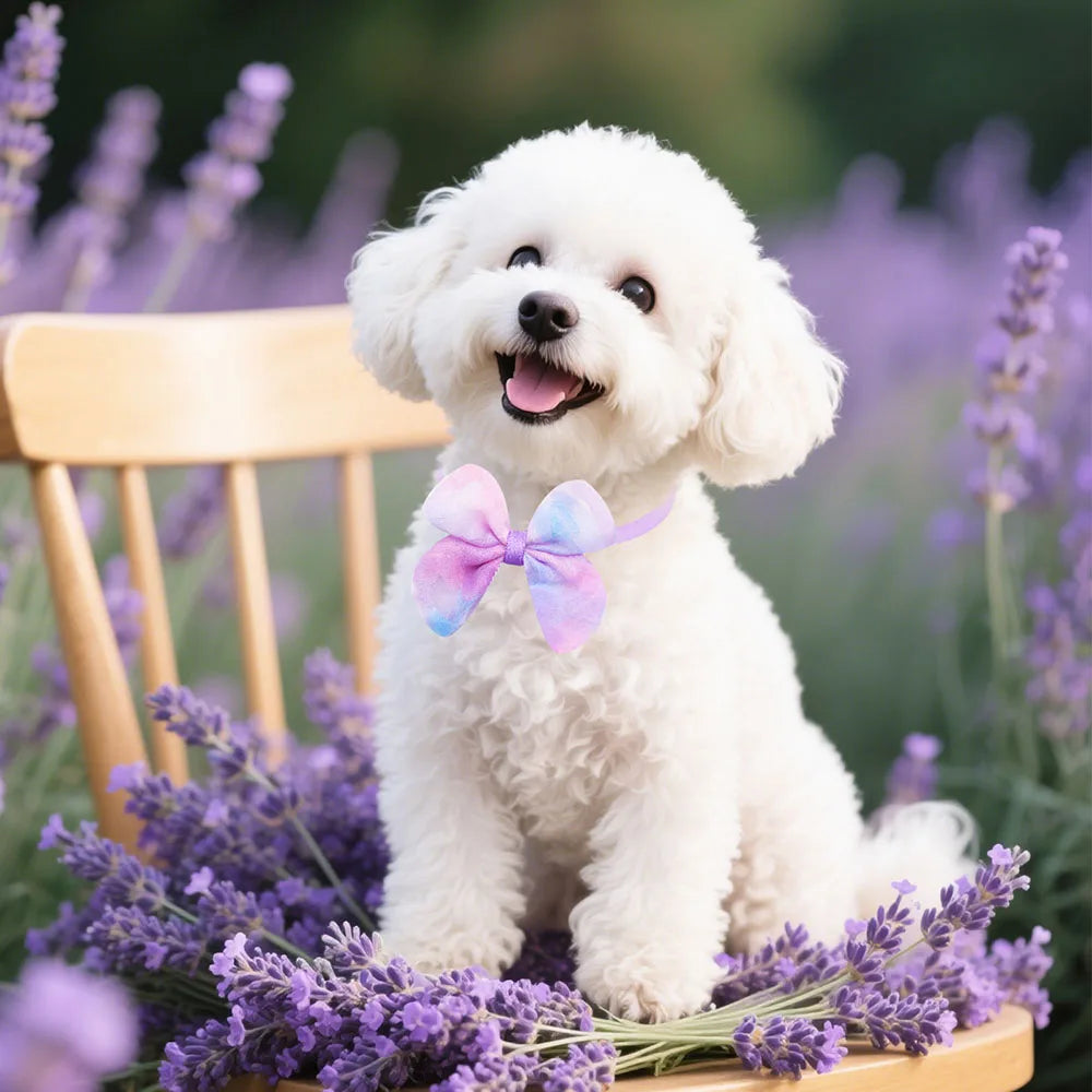 Pastel Pet Bow & Flower Neck Accessories, 5 or 10 Pieces