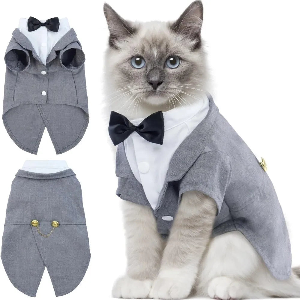 Bow-Tie Cat Tuxedo in Black or Grey