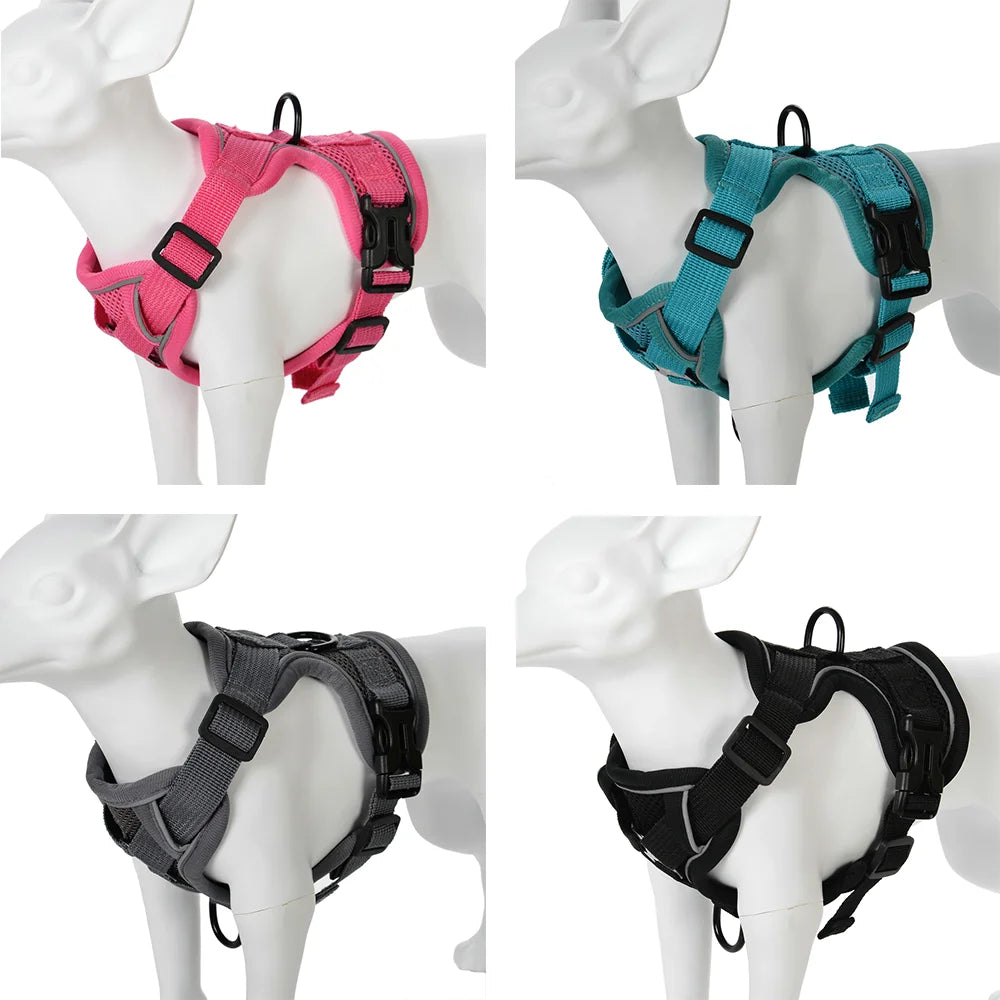 Adjustable Mesh Pet Harness & Coordinating Leash Set