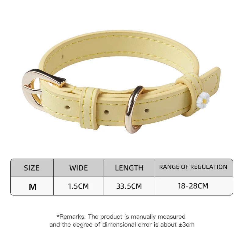 Pastel Daisy Pet Collar with Gold-Tone Buckle
