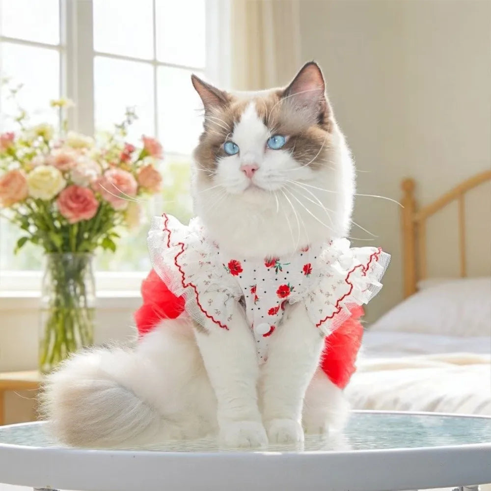 Red Rose Ruffle Cat Dress