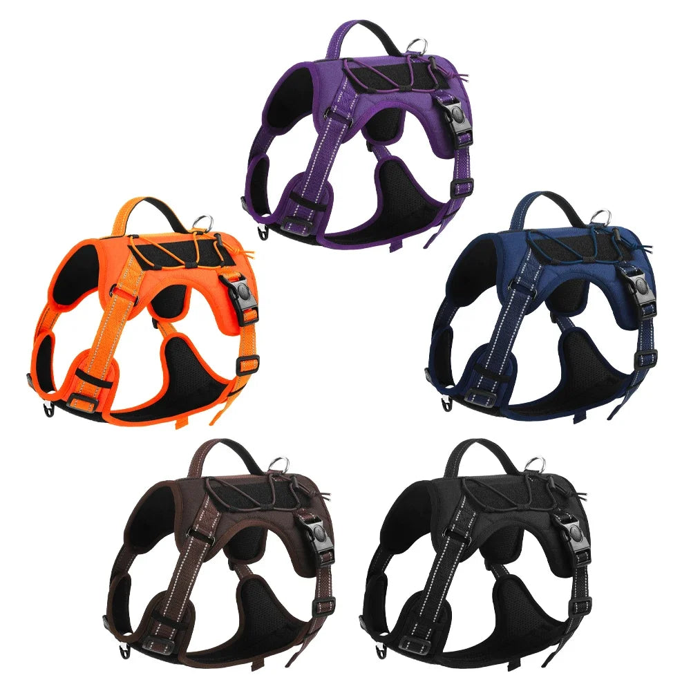 Adjustable Dog Harness with Reflective Trim & Top Handle
