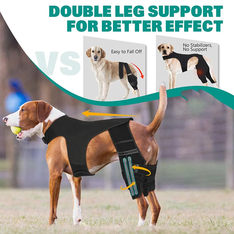 Dog Rear-Leg Brace with Body Strap