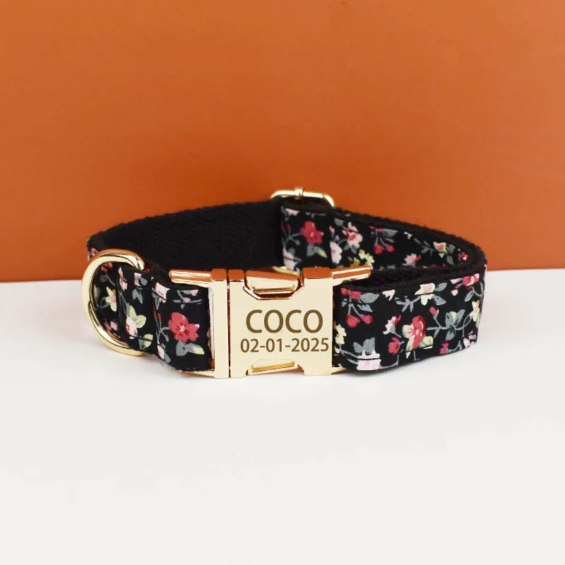 Printed Dog Collar with Gold-Tone Buckle