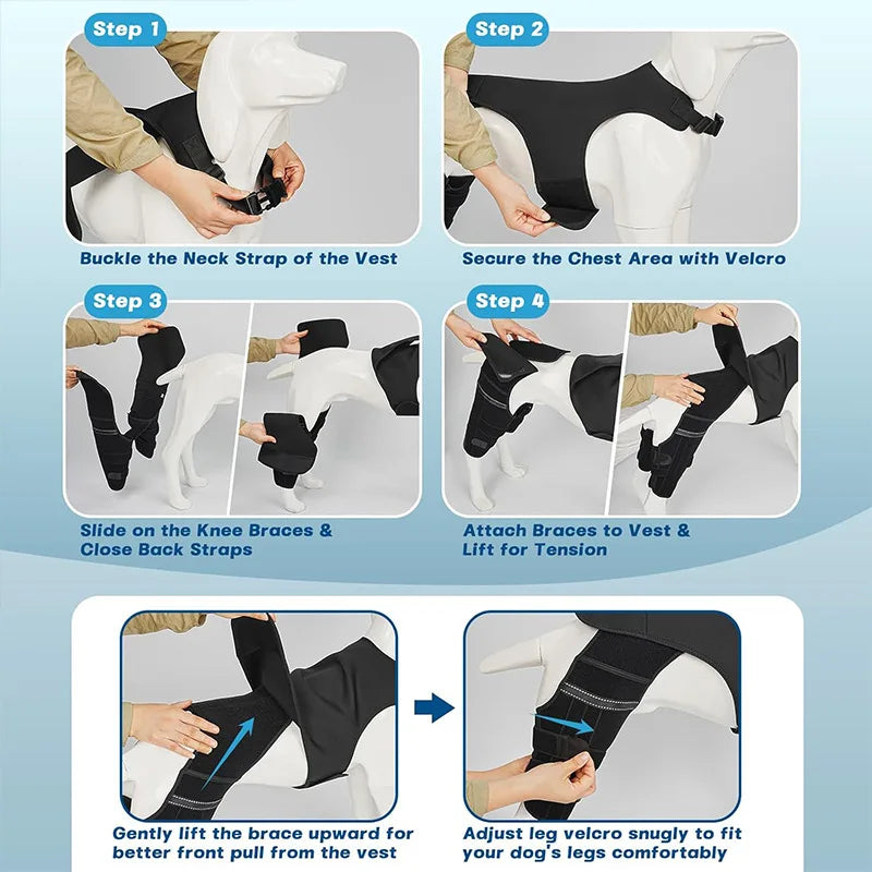 Dog Rear-Leg Brace with Body Strap