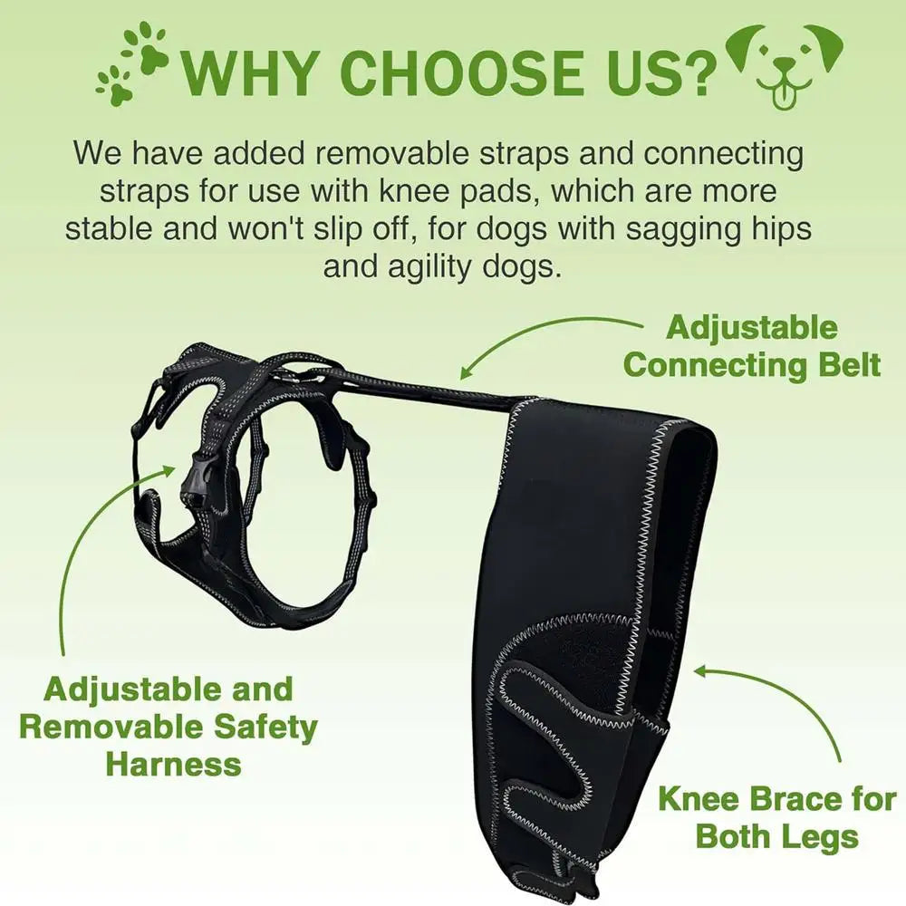 Dog Rear-Leg Wrap with Detachable Chest Harness