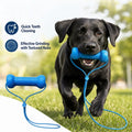 Blue Textured Bone Dog Toy with Play Cord