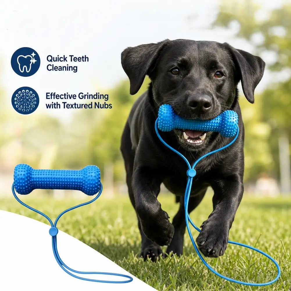 Blue Textured Bone Dog Toy with Play Cord