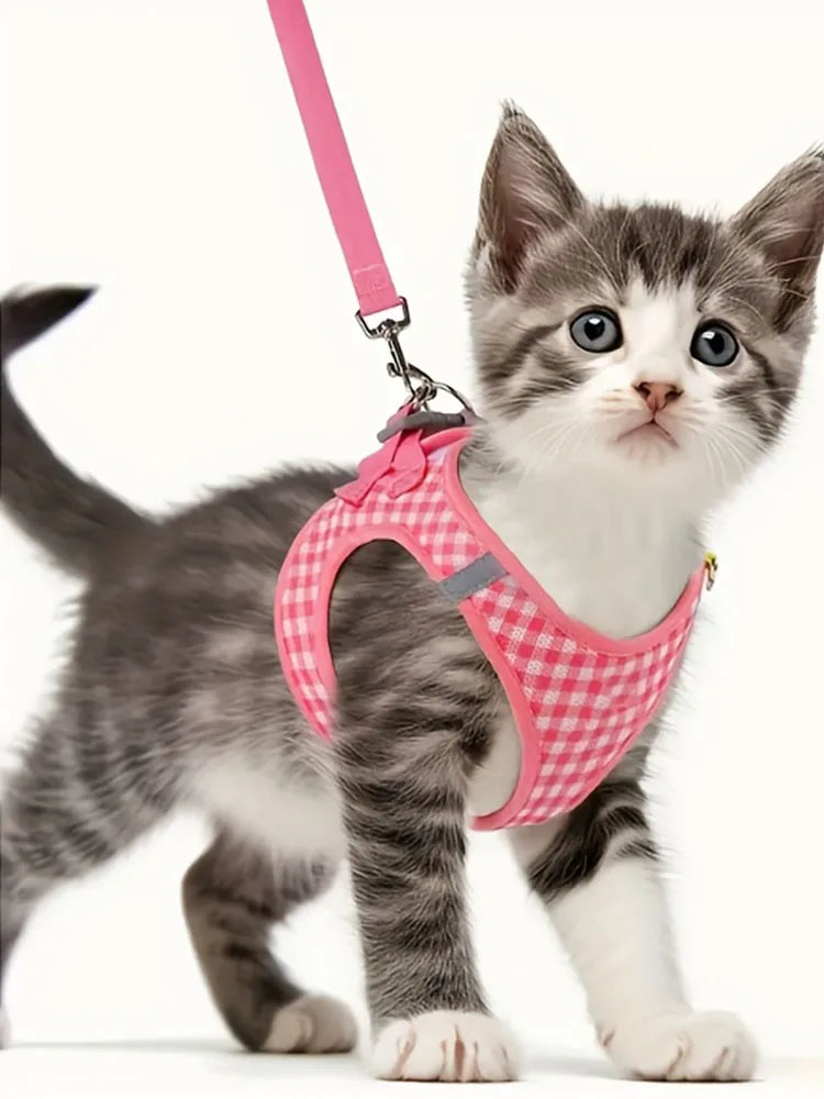 Gingham Cat Harness & Matching Leash Set