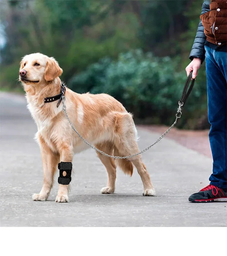 Dog Leg Wraps and Connected Paw Covers, Six Styles