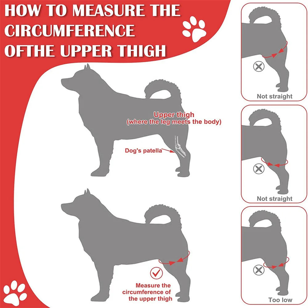 Adjustable Dog Leg Wrap with Mesh Connecting Strap
