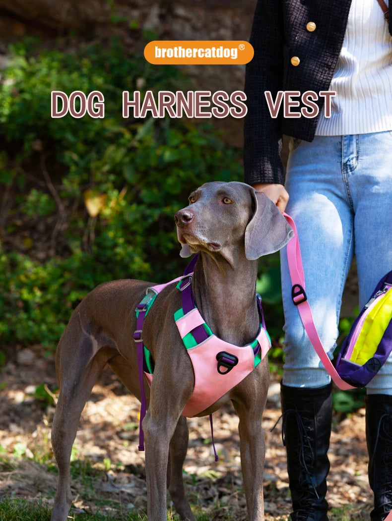 Adjustable Padded Nylon Dog Harness with Reflective Details
