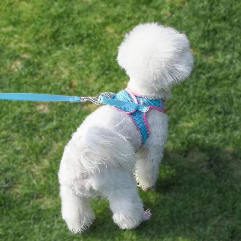 Reflective-Trim Pet Vest Harness & 1.5 m Leash Set