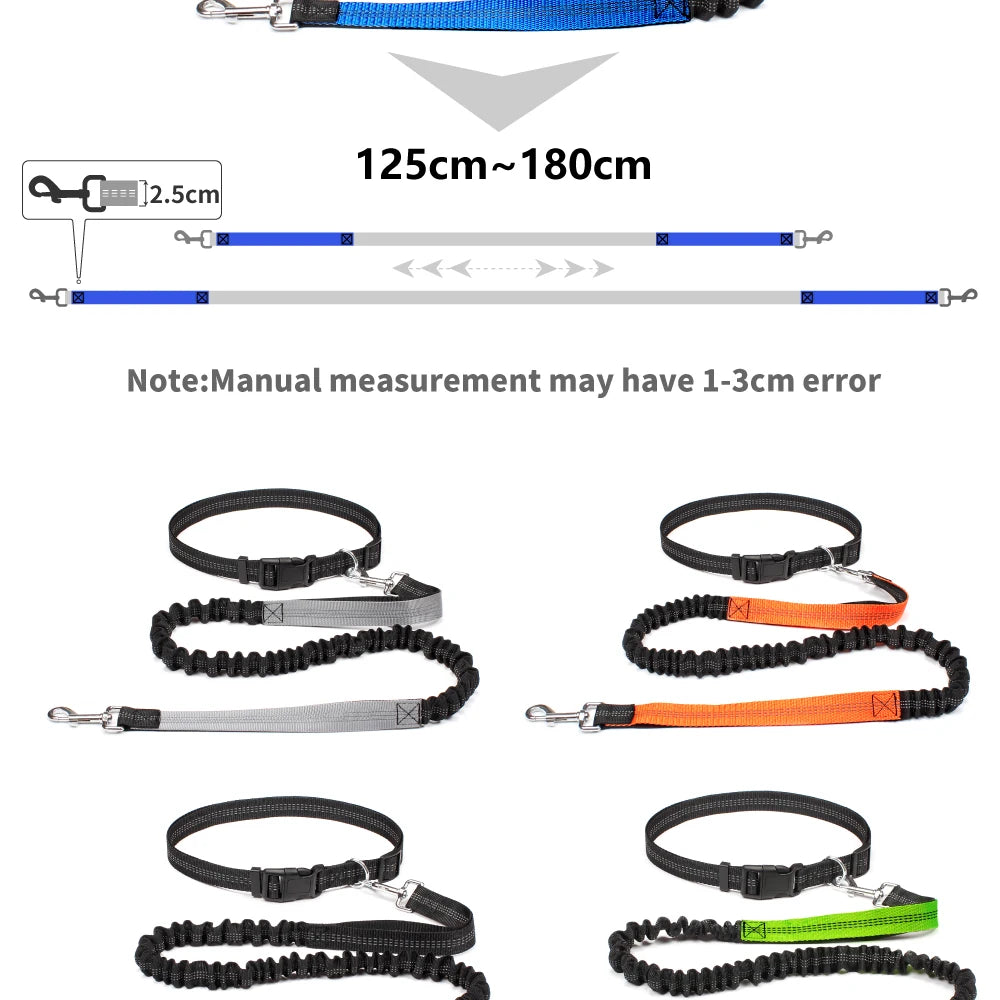 Waist-Belt Dog Leash Set with Bungee Sections