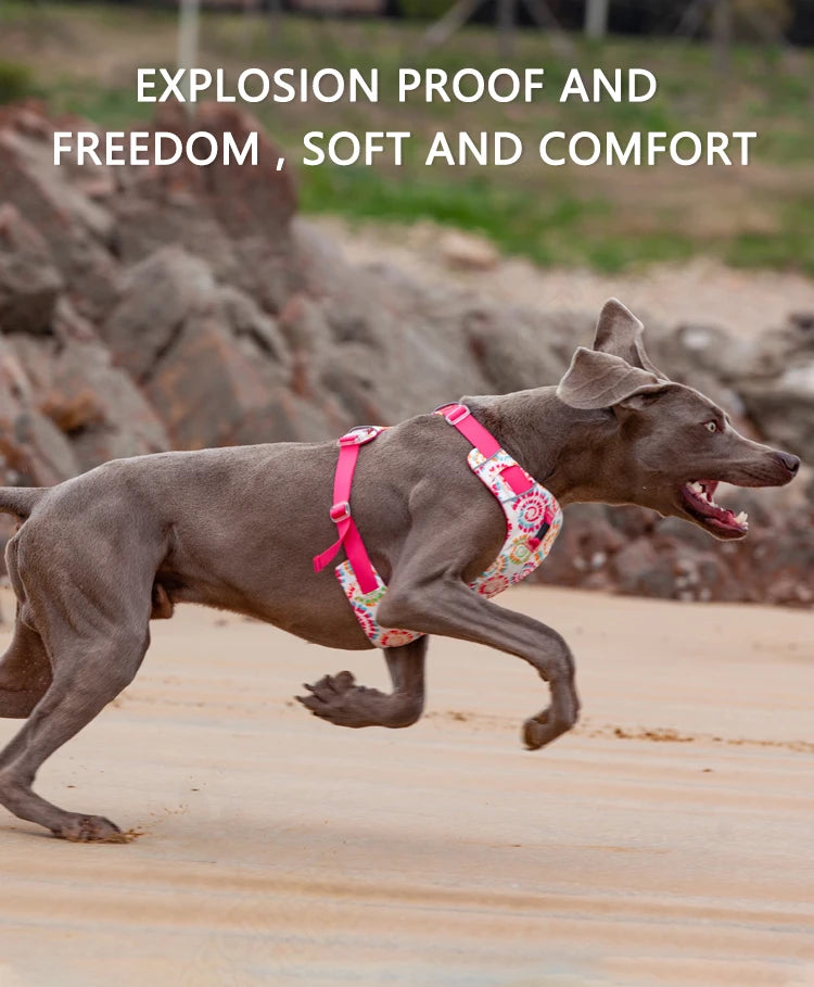 Adjustable Padded Nylon Dog Harness with Reflective Details
