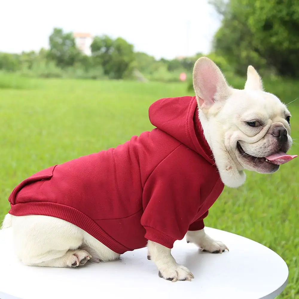 Solid-Color Pet Hoodie with Back Pocket