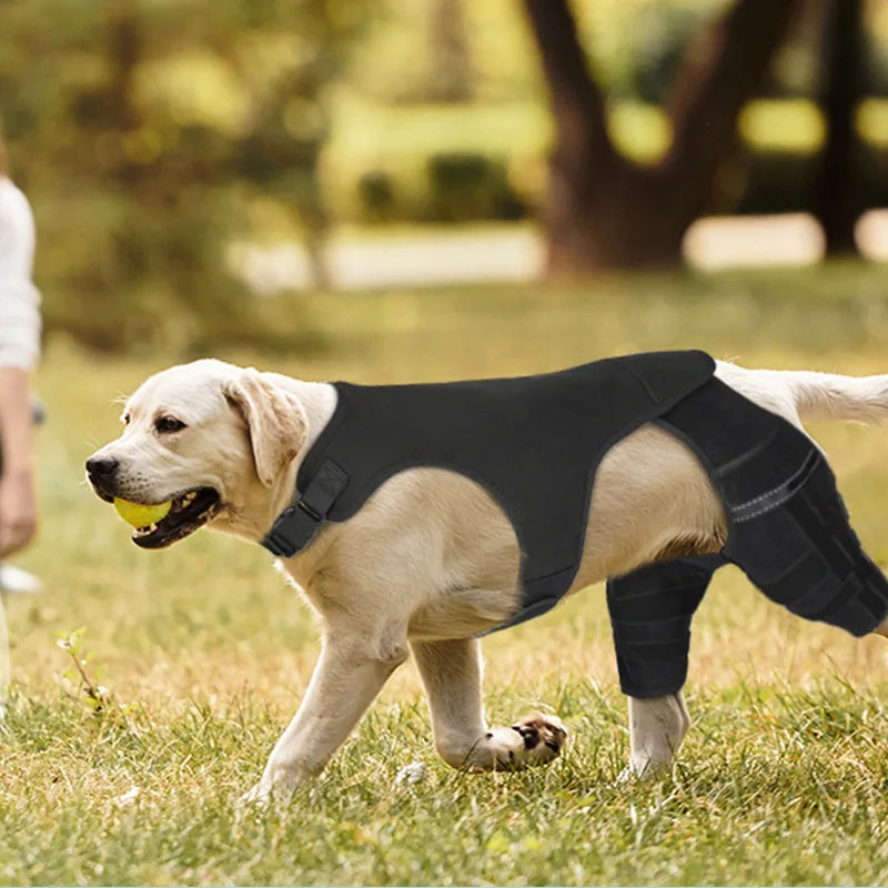Dog Rear-Leg Brace with Body Strap