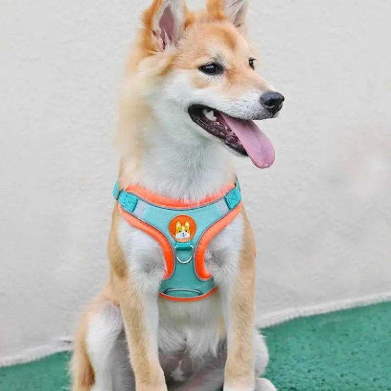 Adjustable Reflective Pet Harness & 150 cm Leash, Lake Blue