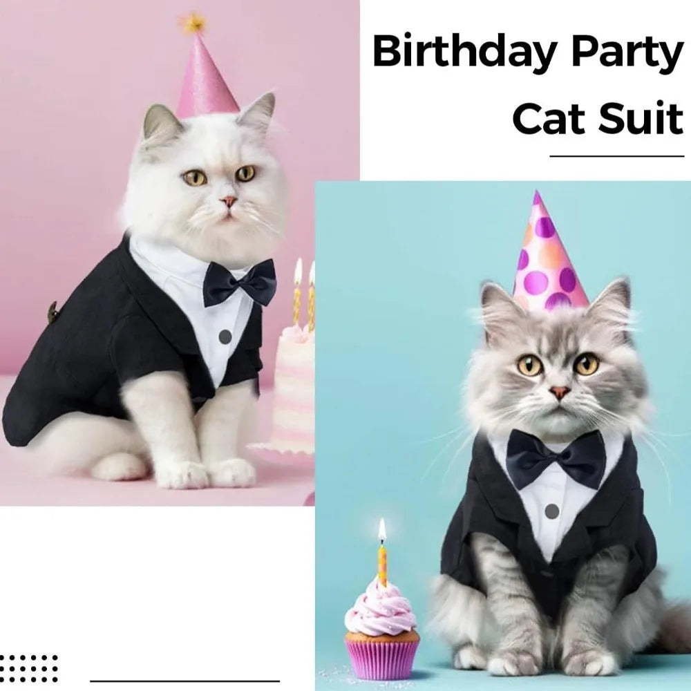 Bow-Tie Cat Tuxedo in Black or Grey