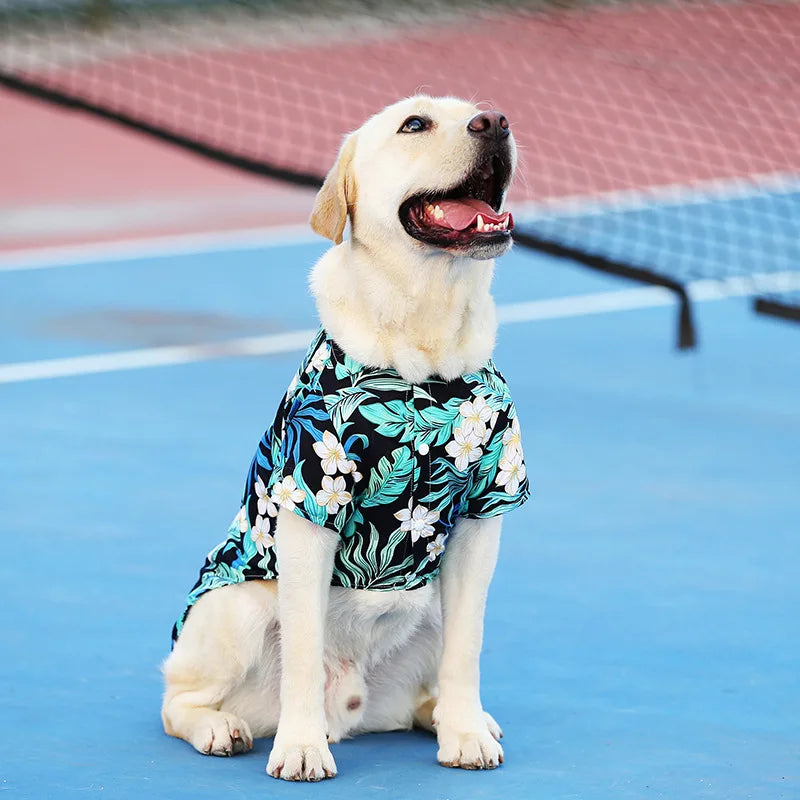Tropical-Print Collared Dog Shirt