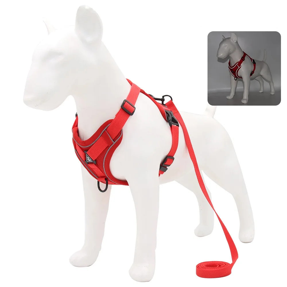 Solid-Color Mesh Pet Harness & 150 cm Leash Set