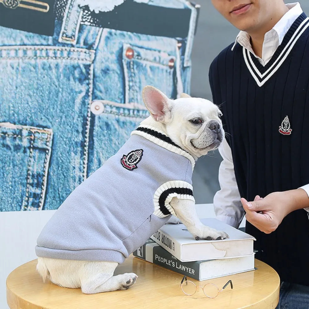 Varsity-Style V-Neck Pet Sweater
