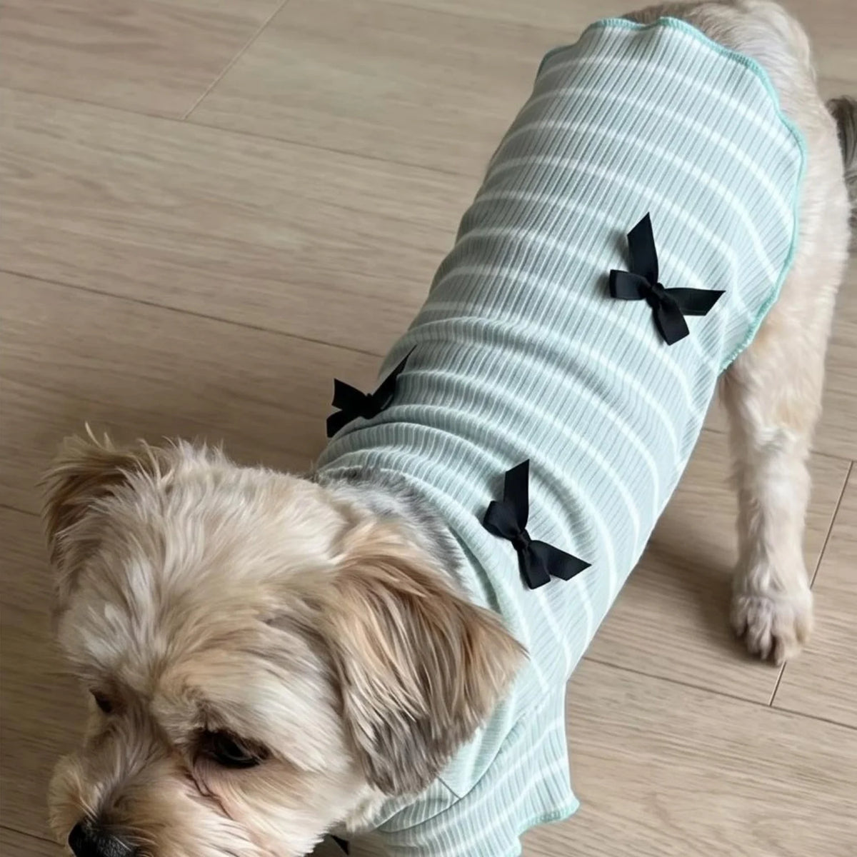 Striped Ribbed Pet T-Shirt with Ribbon Bows