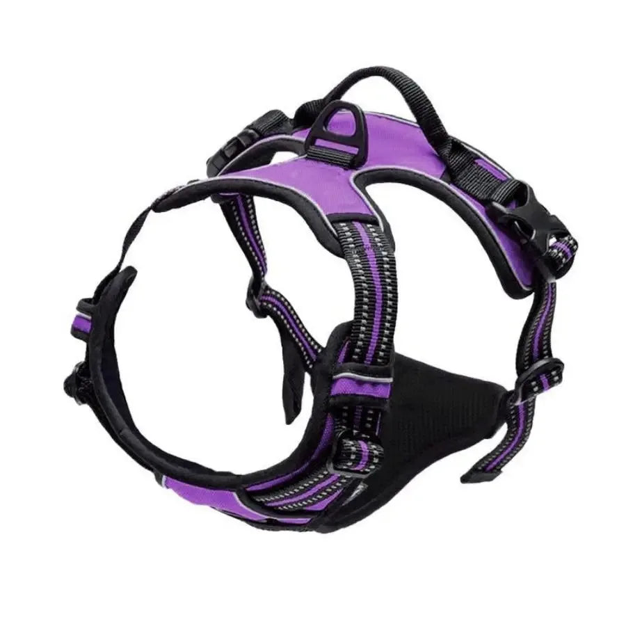 Adjustable Dog Vest Harness with Contrast Trim