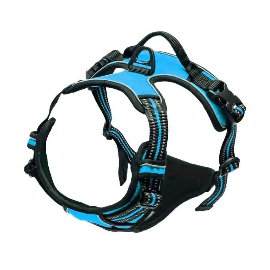 Adjustable Dog Vest Harness with Contrast Trim