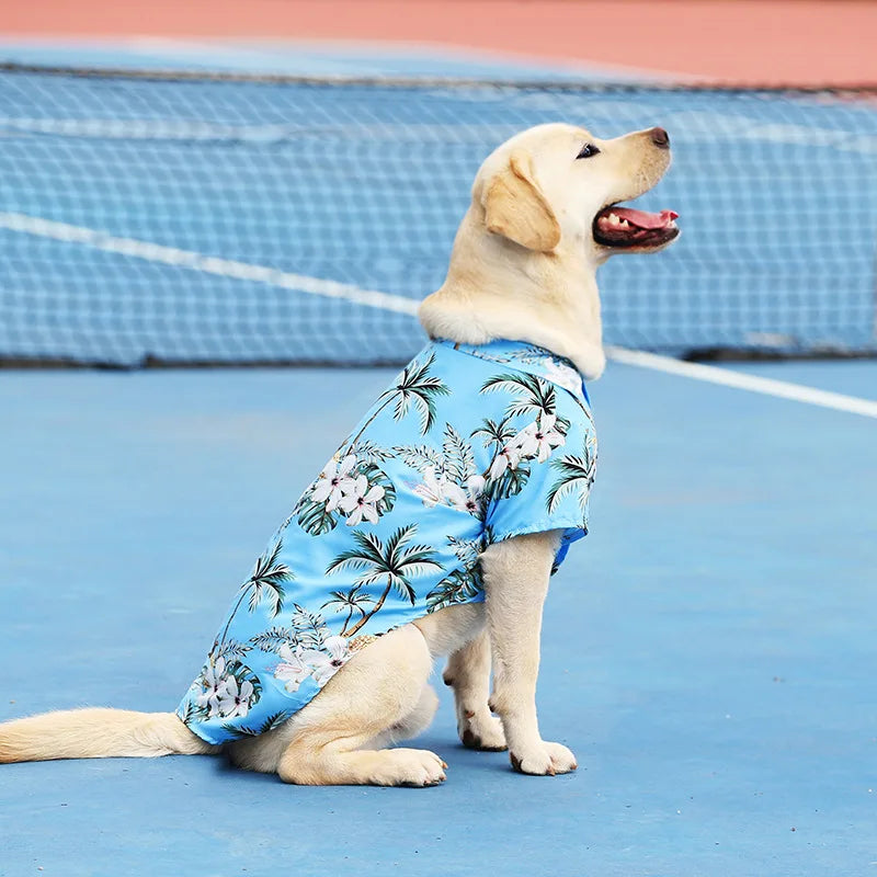 Tropical-Print Collared Dog Shirt