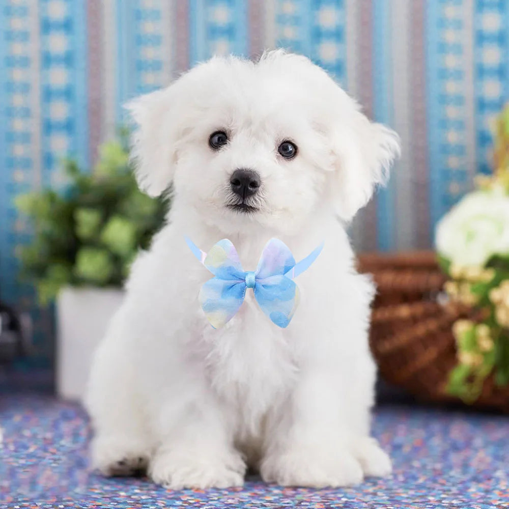 Pastel Pet Bow & Flower Neck Accessories, 5 or 10 Pieces
