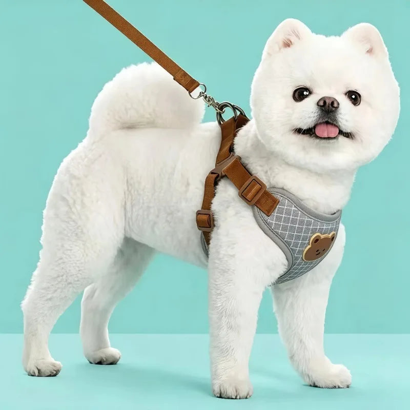 Bear-Detail Pet Harness & Leash Set with Mesh Lining
