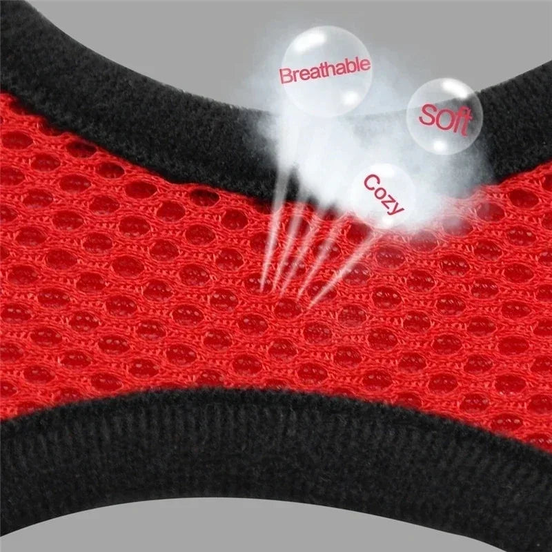 Adjustable Mesh Pet Harness & 120 cm Leash Set